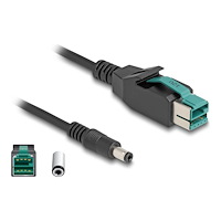 DeLOCK Delock - USB-kabel med egen strömförsörjning - USB PlusPower (12 V) till Växelströmsjack 5,5 x 2,5 mm - 2 m