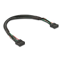 DeLOCK Delock - USB-kabel - 10-stifts USB-överdel till 10-stifts USB-överdel - 25 cm