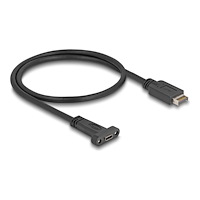 DeLOCK Delock - USB-adapterkabel - 20 pin USB Typ E till 24 pin USB-C - 50 cm