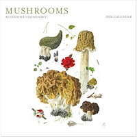 Pomegranate Europe Ltd Mushrooms:  Alexander Viazmensky : 2026 Wall Calendar