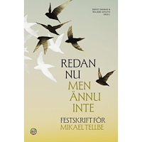 Libris förlag Redan nu men ännu inte : festskrift för Mikael Tellbe (inbunden)