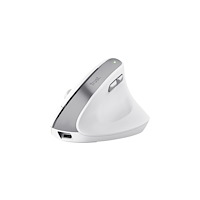 Trust Computer Products Trust Bayo II - vertikal mus - 2.4 GHz - vit