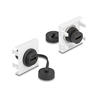DeLOCK Delock Easy 45 - snäppbar modul - 45 x 45 mm - 1 audio / video socket - vit, RAL 9003