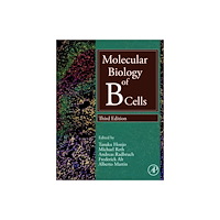 Elsevier Science & Technology Molecular Biology of B Cells (inbunden, eng)