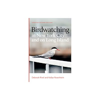 Brandeis University Press Birdwatching in New York City and on Long Island (häftad, eng)