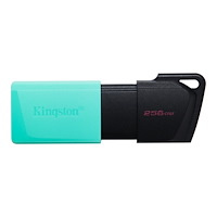 Kingston Technology Kingston DataTraveler Exodia M - USB flash-enhet - 256 GB