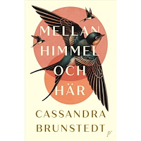 Cassandra Brunstedt Mellan himmel och här (pocket)
