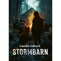 Cecilia Lidbeck Stormbarn (bok, kartonnage)