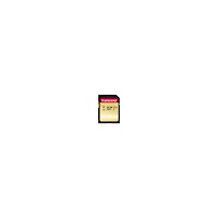 Transcend Information Transcend 500S - flash-minneskort - 64 GB - SDXC UHS-I