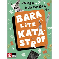 Johan Rundberg Bara lite katastrof (inbunden)