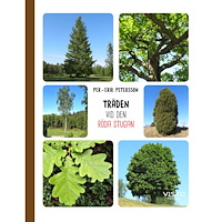 Per-Erik Petersson Träden vid den röda stugan (inbunden)