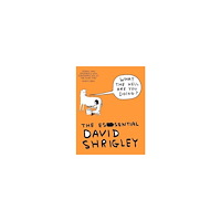 David Shrigley What The Hell Are You Doing?: The Essential David Shrigley (häftad, eng)