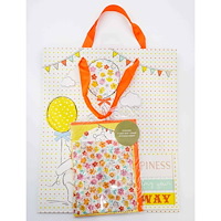 66 Books Ltd Winnie the Pooh Gift Bag inc card