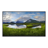 DELL Dell P2425H - LED-skärm - Full HD (1080p) - 24"