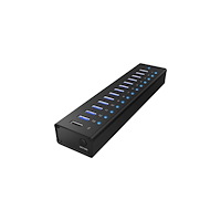 RaidSonic Technology ICY BOX IB-AC6113 - hubb - 13 portar