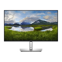 DELL Dell P2725H - LED-skärm - Full HD (1080p) - 27"