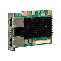 Intel Intel Ethernet Network Connection OCP X557-T2 - nätverksadapter - OCP - 10Gb Ethernet x 2