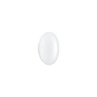 Philips Philips Ledinaire Wall/Ceiling WL060V 1700lm/840 18,5W IP44...