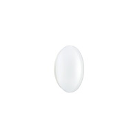 Philips Philips Ledinaire Wall/Ceiling WL060V 1700lm/830 18,5W IP44...