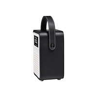VQ ViewQuest Retro Mini