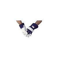 OTTO SCHACHNER OTTO SCHACHNER Europe arbetshandske storlek 9allround handsk...