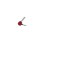 CARLO GAVAZZI Elektrodeføler 1000mm 1 1/2"RG m/kabel 2 elektroder isolered...