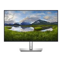 DELL Dell P2425H - LED-skärm - Full HD (1080p) - 24"