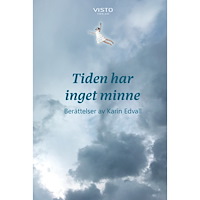 Karin Edvall Tiden har inget minne (inbunden)