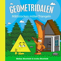 Mattias Blomfeldt Måttstocken möter Triangeln (inbunden)