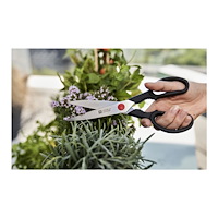 Zwilling ZWILLING