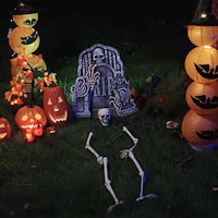 vidaXL Halloween Skelett Vit 20 x 10 x 9.5 cm Plast