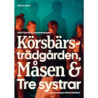 Martin Hellström Anton Tjechov för unga teatergrupper (häftad)