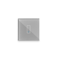 Iotty Iotty Smart Switch Single Button Front Panel