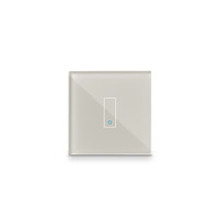 Iotty Iotty Smart Switch Single Bullet Front Panel for Smart Homes...