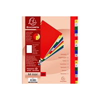 EXACOMPTA Exacompta A4 Maxi - avdelare - 20 delar - tabbad - blandade färger