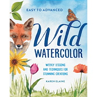 Karen Elaine Wild Watercolor: Weekly Lessons and Techniques for Stunning Creations (häftad, eng)