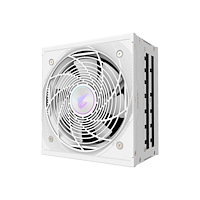 Gigabyte Technology AORUS ELITE AE1000PM PG5 ICE - nätaggregat - 1000 Watt