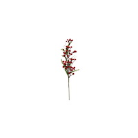 [NORDIC Brands] Dekorationskvist 50cm