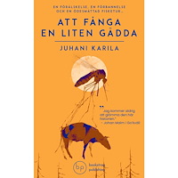 Juhani Karila Att fånga en liten gädda (pocket)