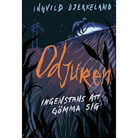 Lilla Piratförlaget Ingenstans att gömma sig (inbunden)