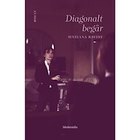 Sinziana Ravini Diagonalt begär (inbunden)