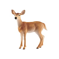 Schleich Schleich Wild Life - Vitsvanshjort