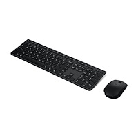 Lenovo Lenovo Professional - sats med tangentbord och mus full size - QWERTY - Nordisk - grå Inmatningsenhet