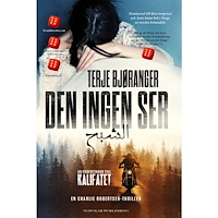 Terje Bjøranger Den ingen ser (inbunden)