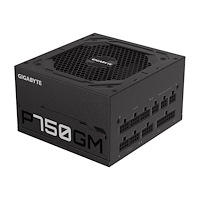 Gigabyte Technology Gigabyte P750GM - nätaggregat - 750 Watt