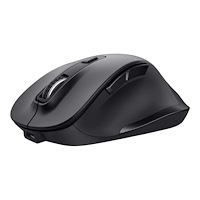 Trust Computer Products Trust Fyda Comfort - mus - eco - 2.4 GHz - svart