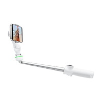 Insta360 Insta360 Flow 2 Pro