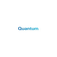 Quantum Quantum