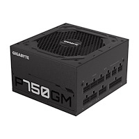 Gigabyte Technology Gigabyte P750GM