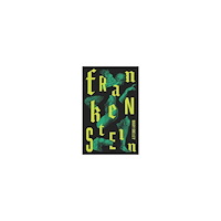 Mary Shelley Frankenstein: Or The Modern Prometheus (häftad, eng)